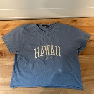 Blue Brandy Melville Crop Top